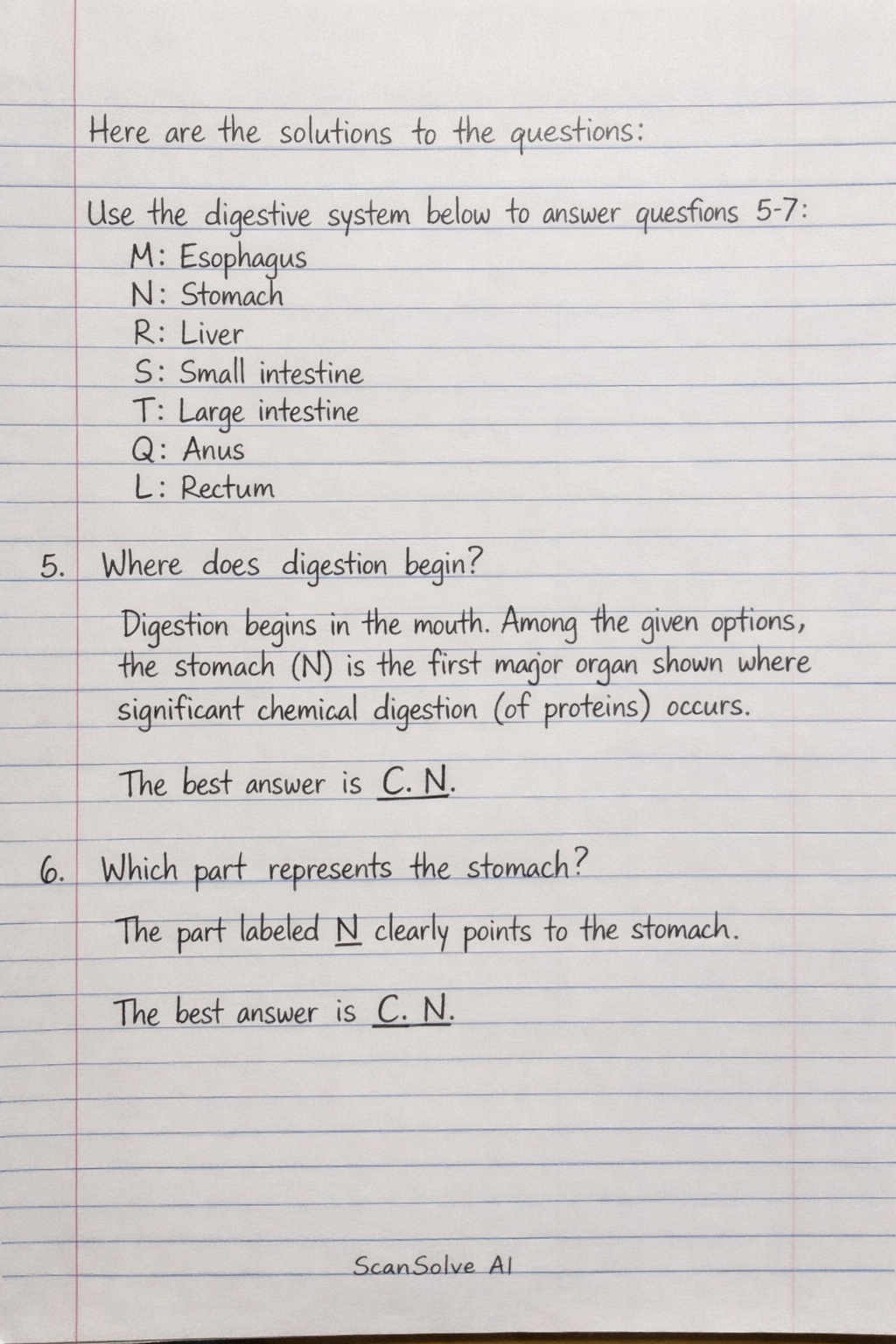 Handwritten step-by-step solution preview