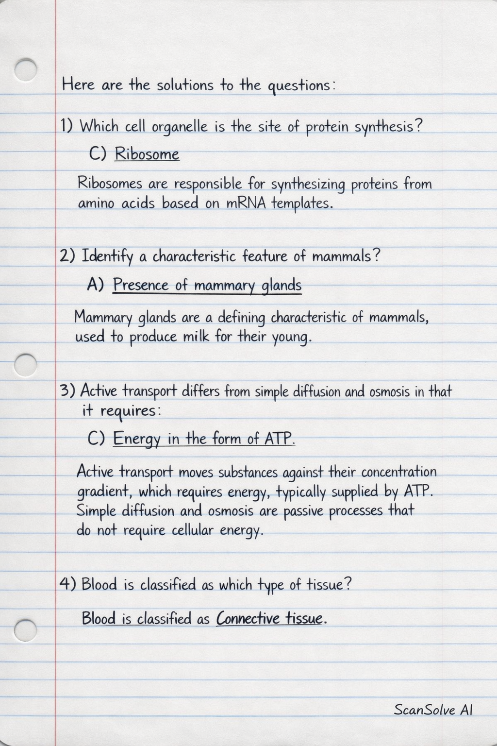 Handwritten step-by-step solution