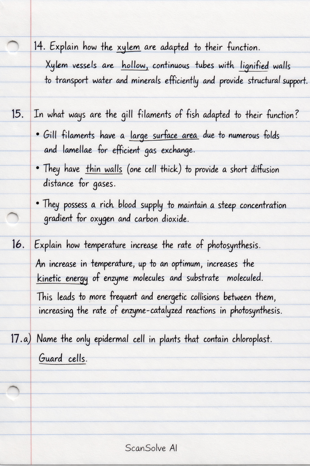 Handwritten step-by-step solution