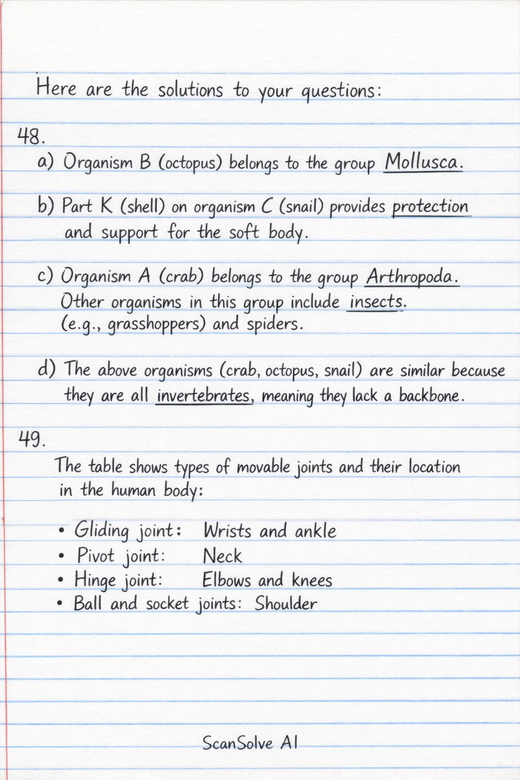 Handwritten step-by-step solution