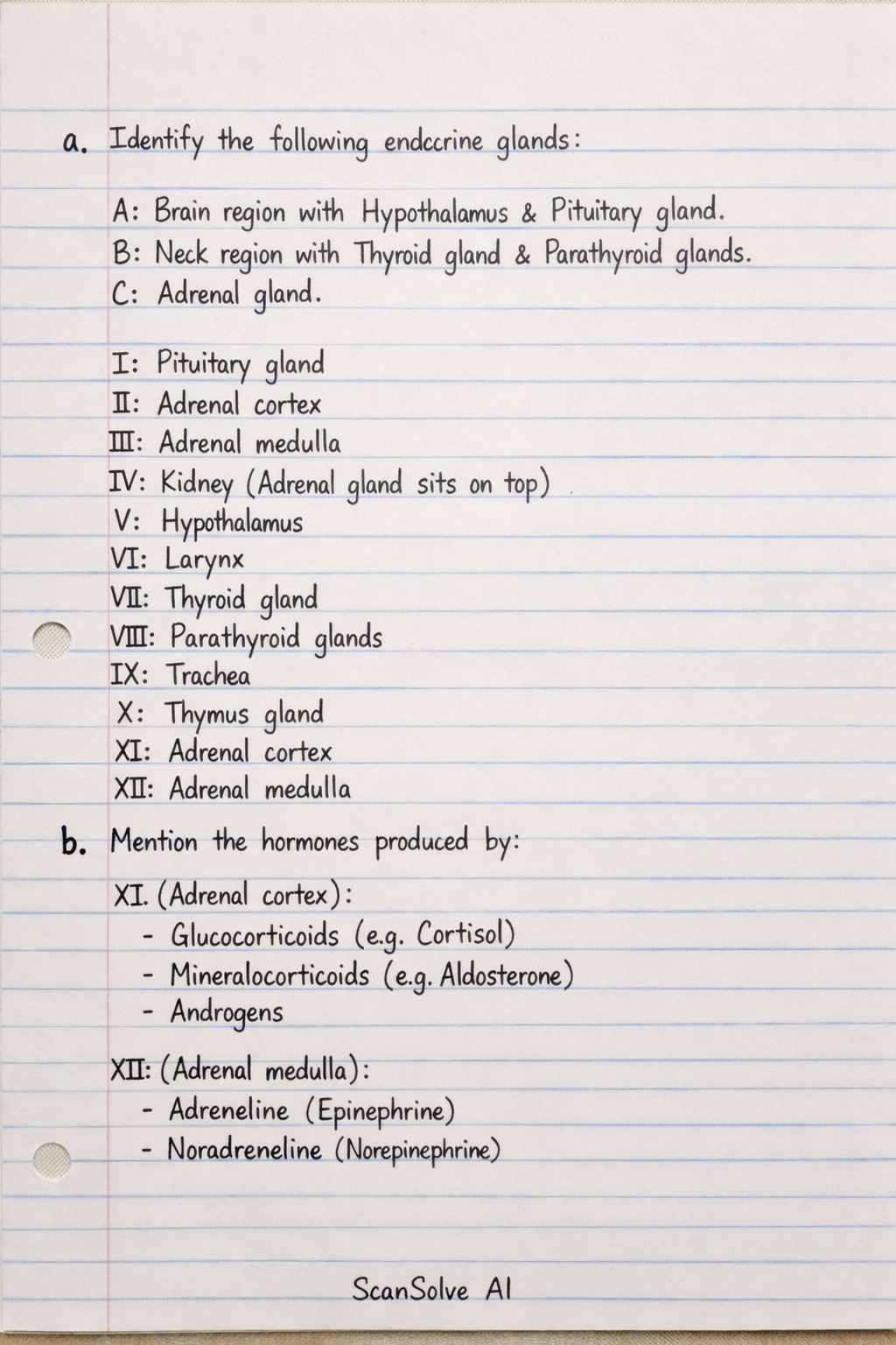 Handwritten step-by-step solution