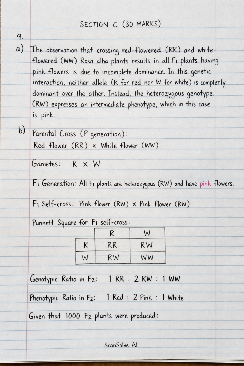 Handwritten step-by-step solution preview