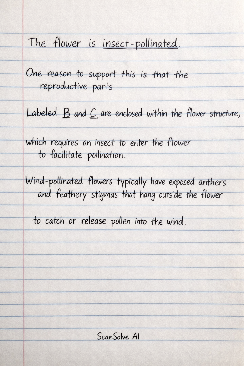 Handwritten step-by-step solution