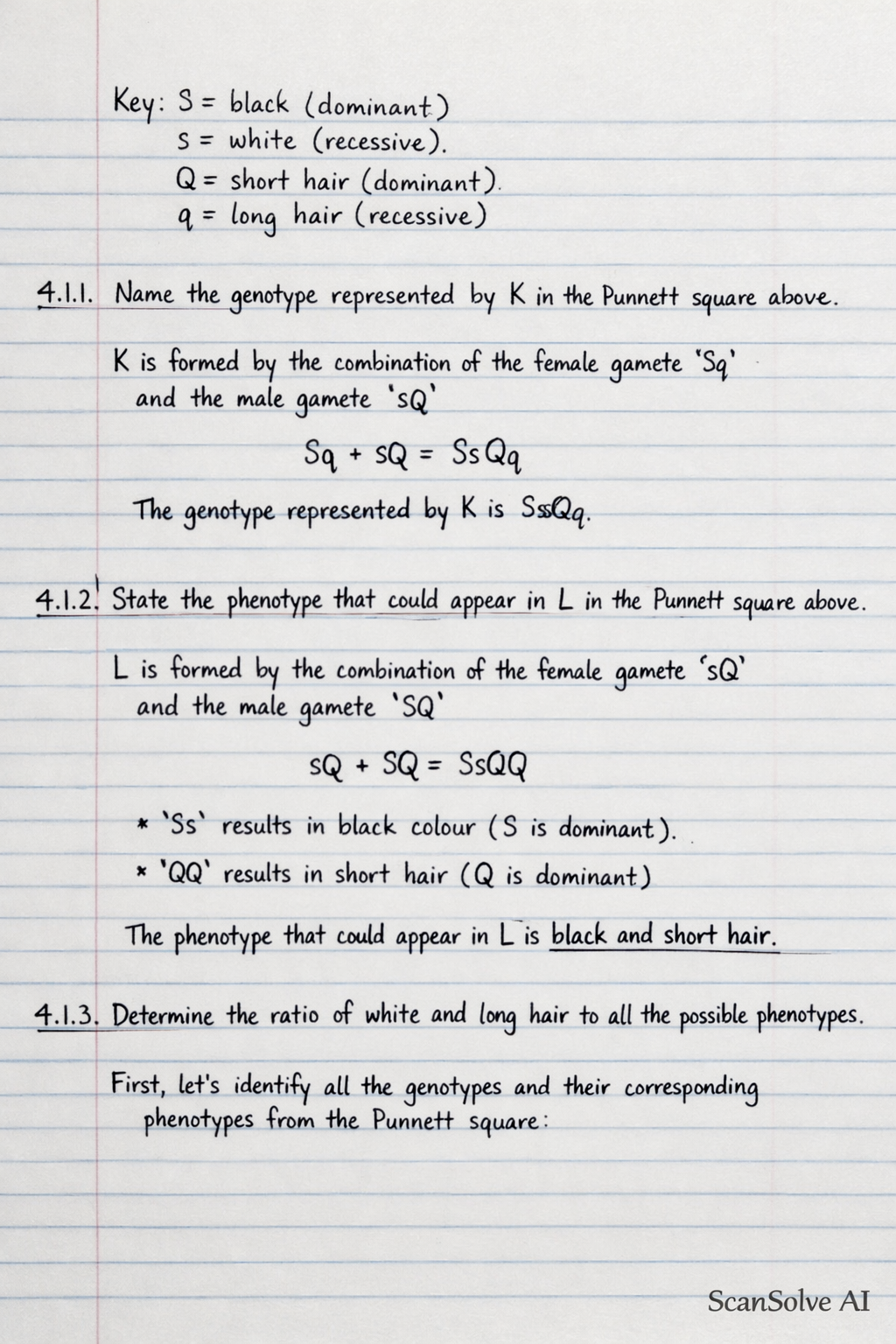 Handwritten step-by-step solution preview