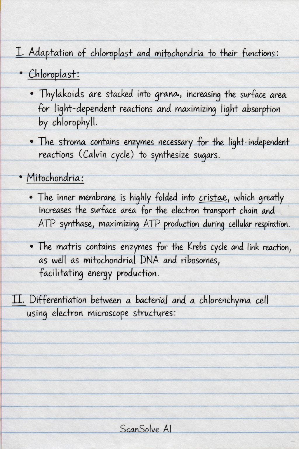 Handwritten step-by-step solution