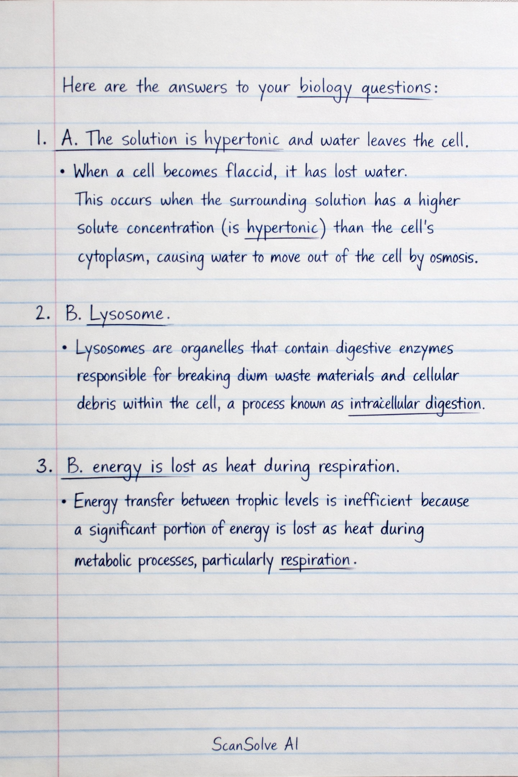 Handwritten step-by-step solution