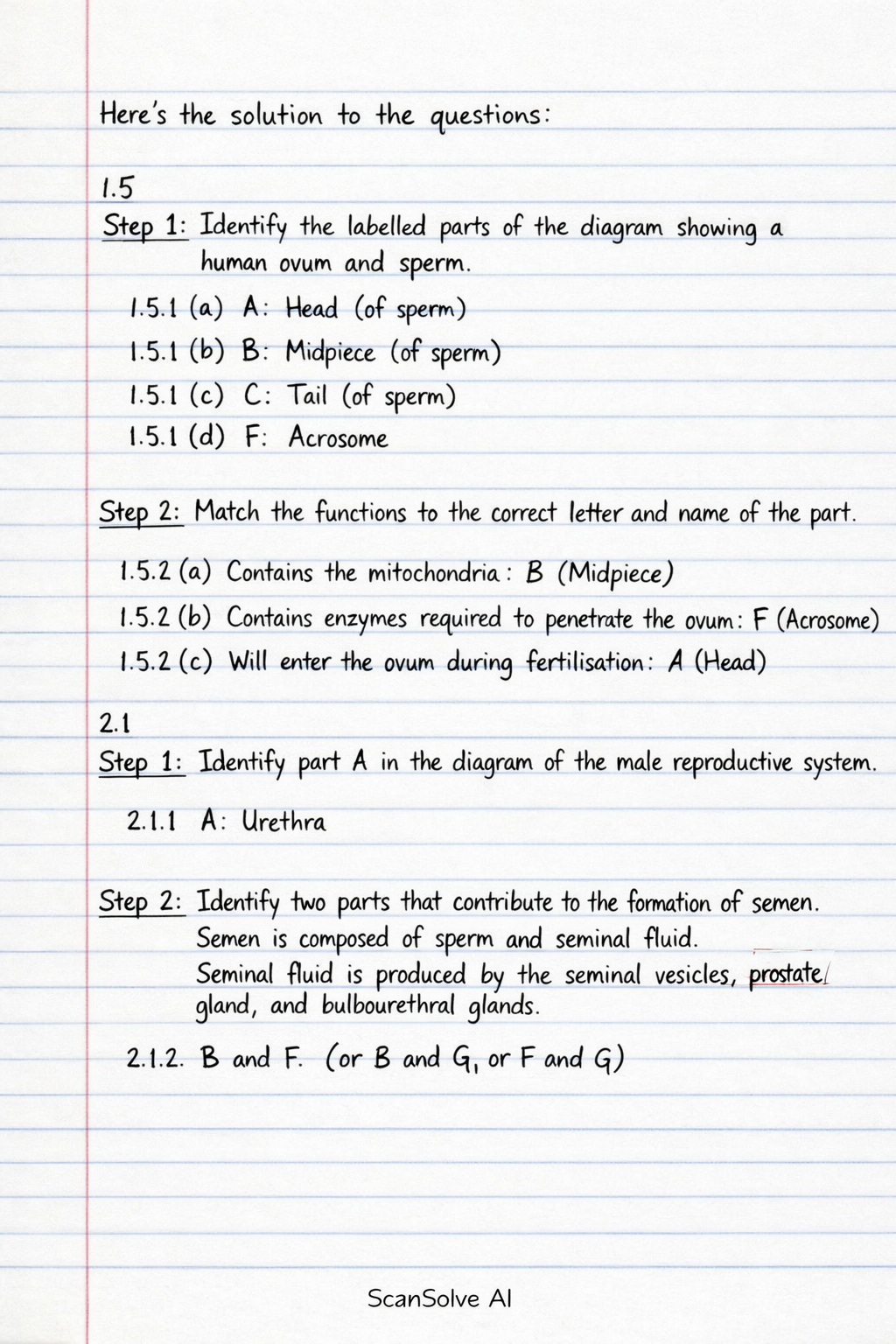 Handwritten step-by-step solution preview