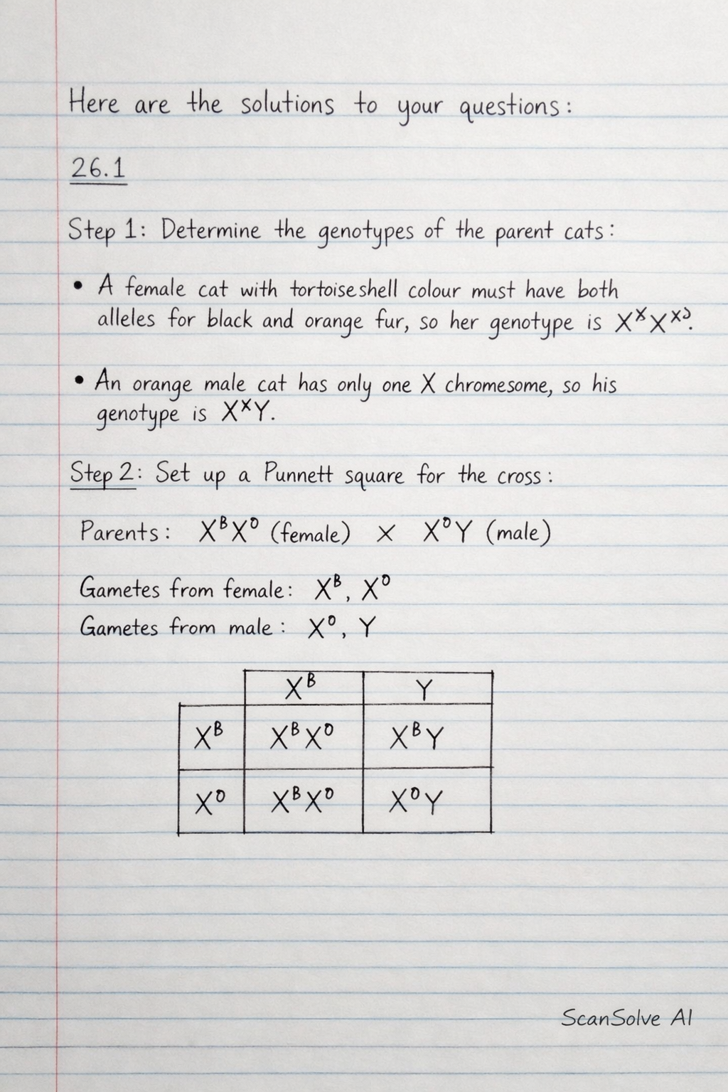 Handwritten step-by-step solution preview