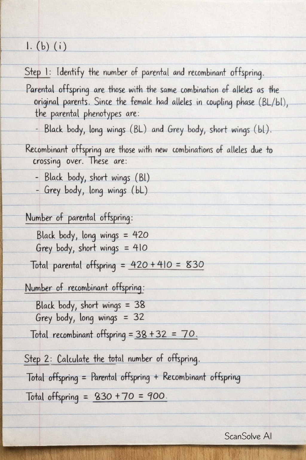 Handwritten step-by-step solution preview