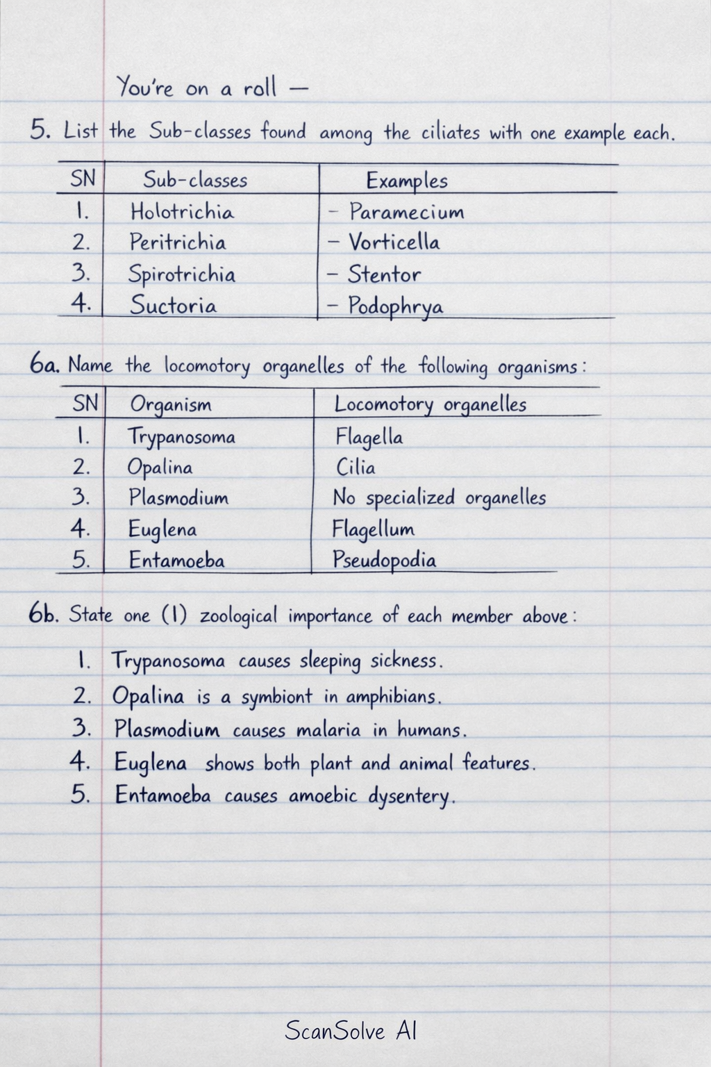 Handwritten step-by-step solution preview