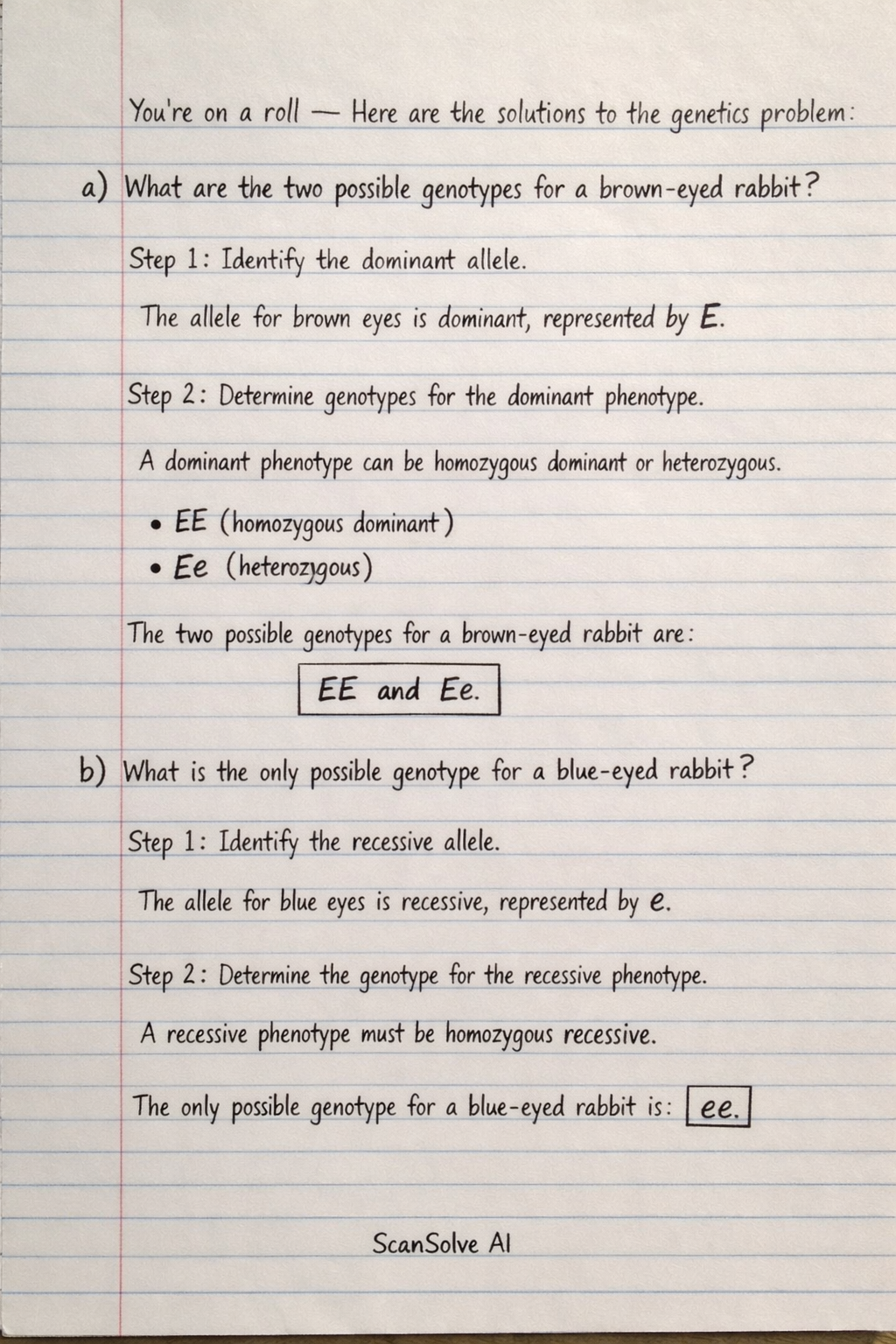 Handwritten step-by-step solution