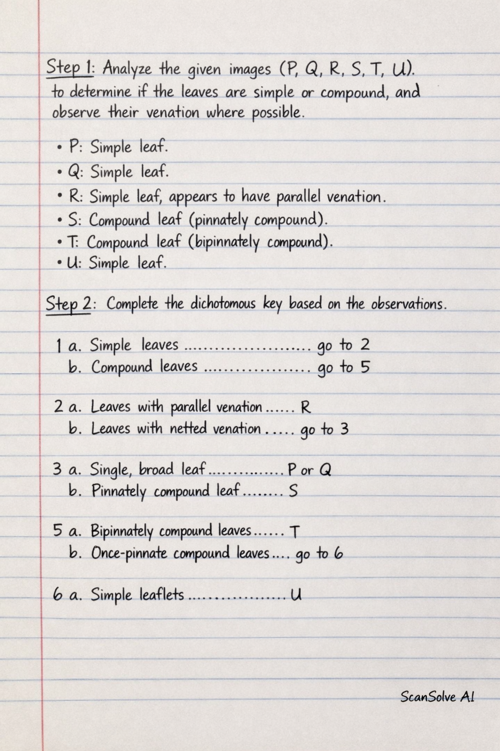 Handwritten step-by-step solution