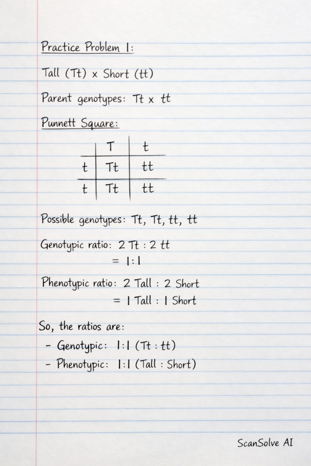 Handwritten step-by-step solution