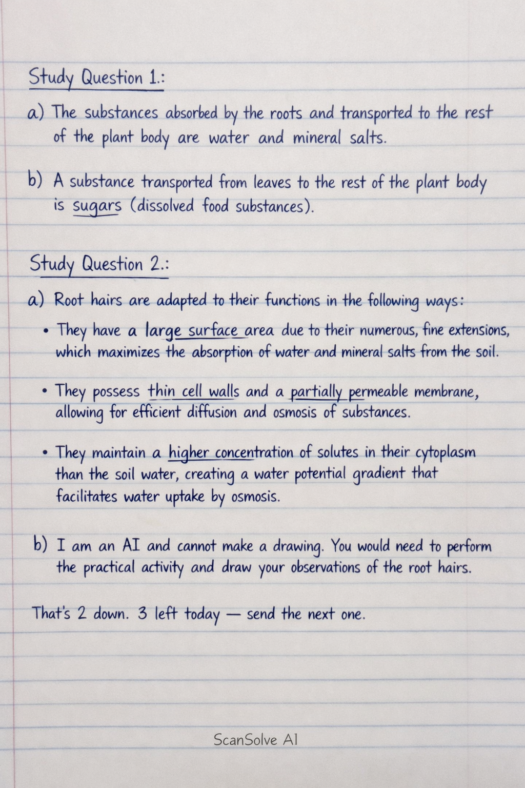 Handwritten step-by-step solution preview