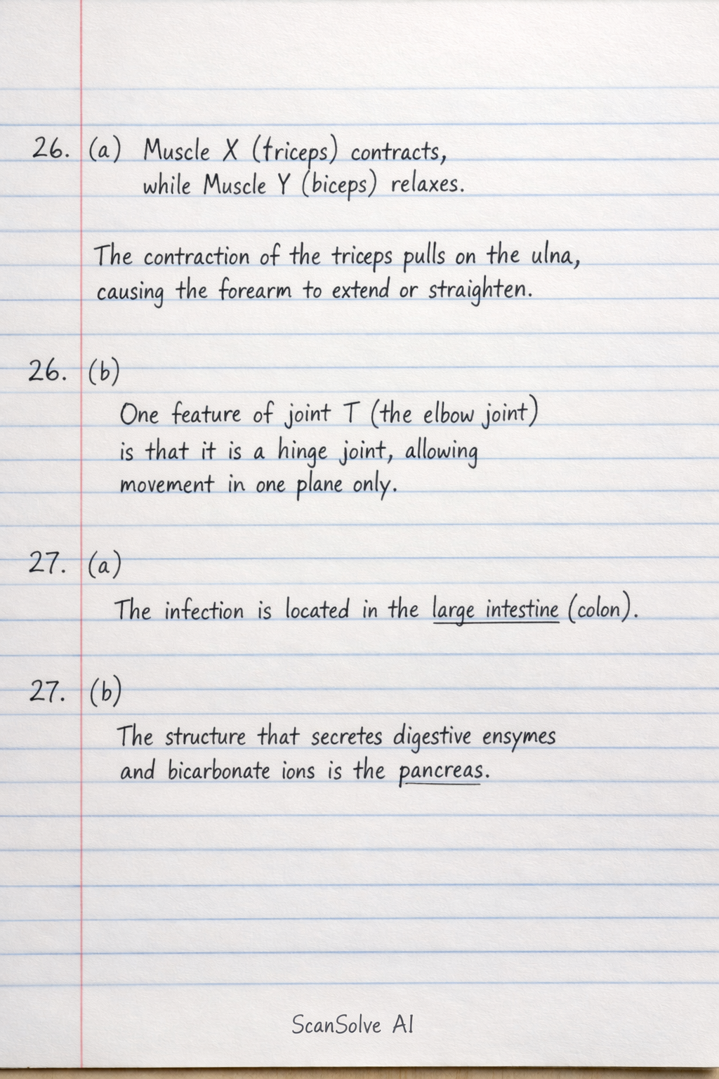 Handwritten step-by-step solution preview