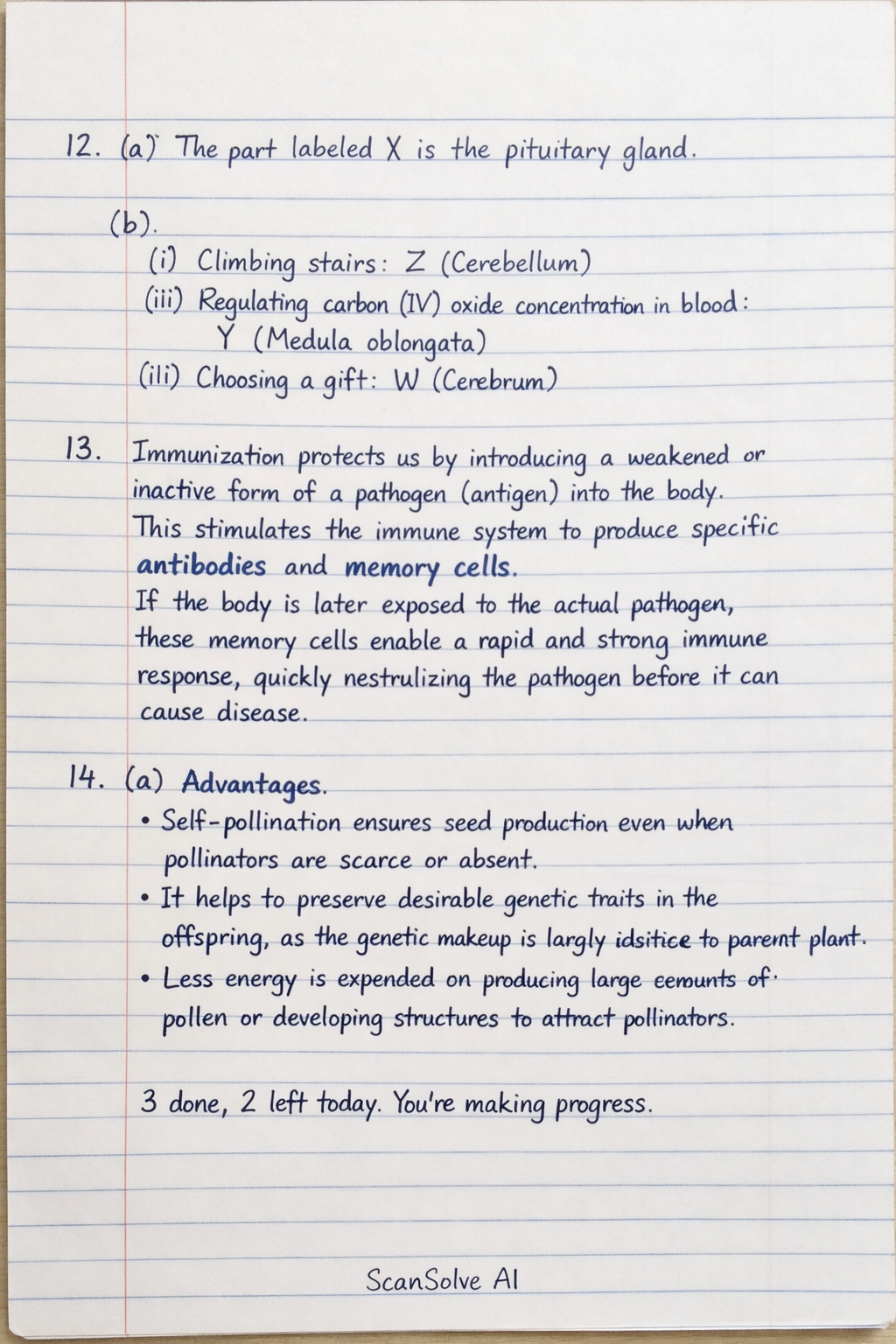 Handwritten step-by-step solution preview
