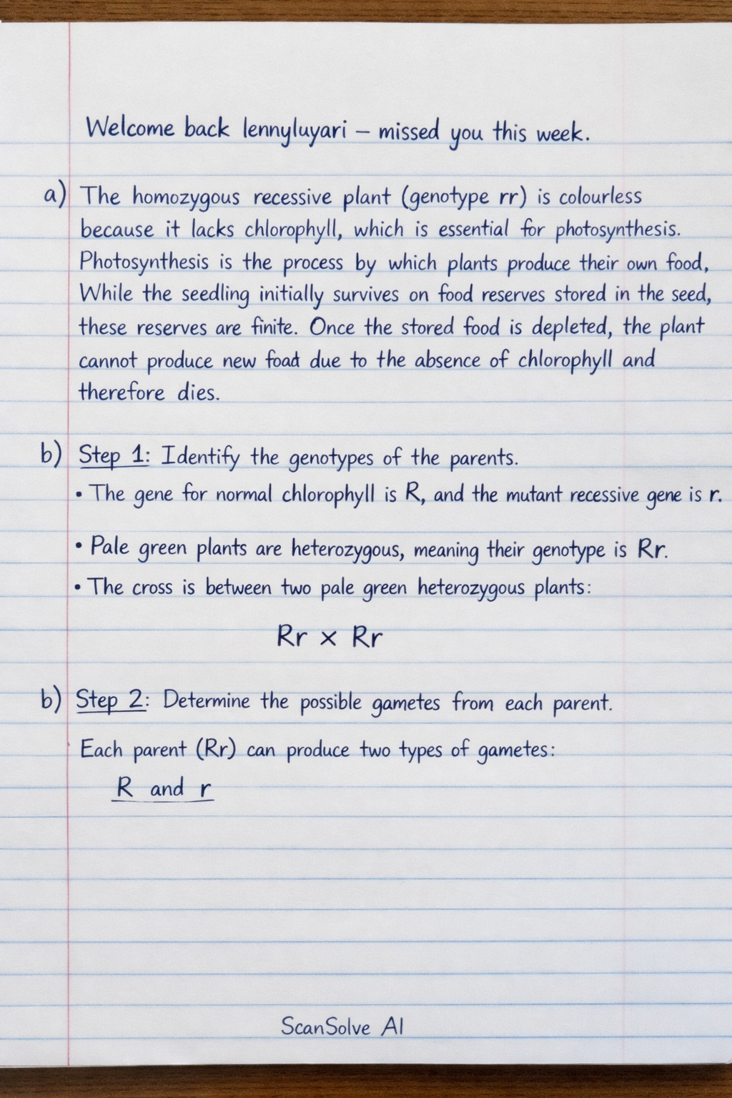Handwritten step-by-step solution preview