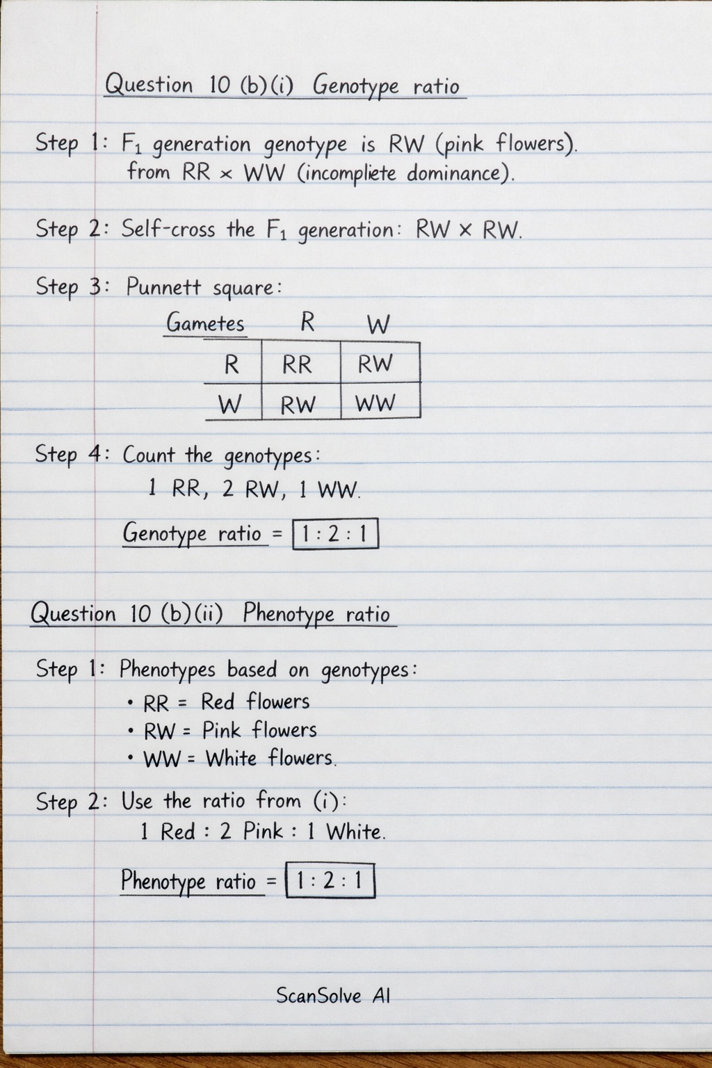 Handwritten step-by-step solution preview