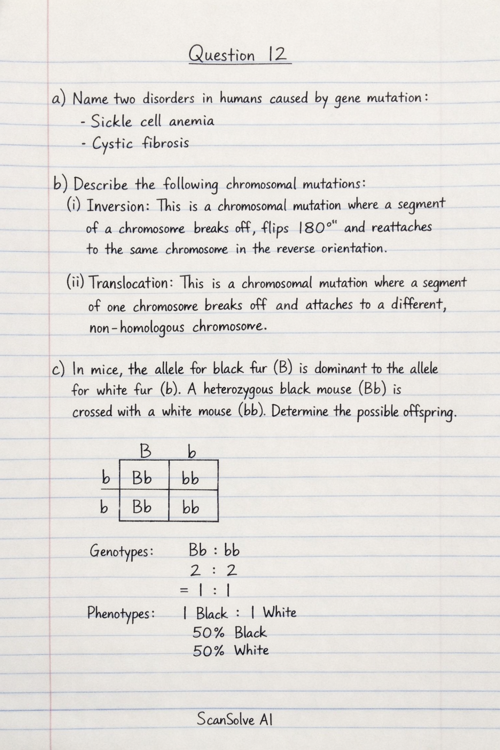 Handwritten step-by-step solution preview