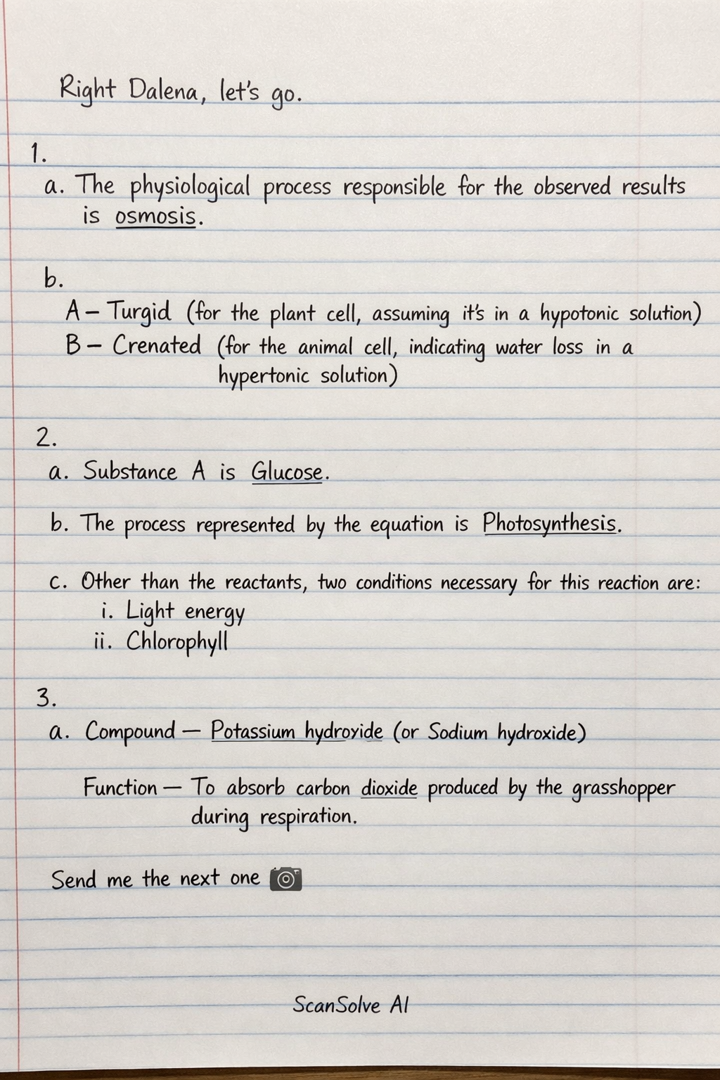Handwritten step-by-step solution preview