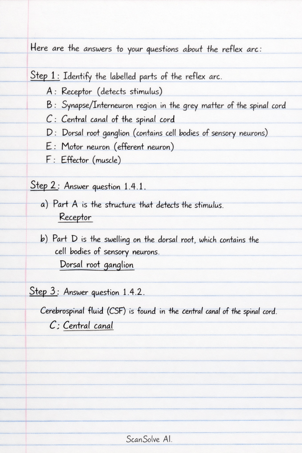 Handwritten step-by-step solution preview