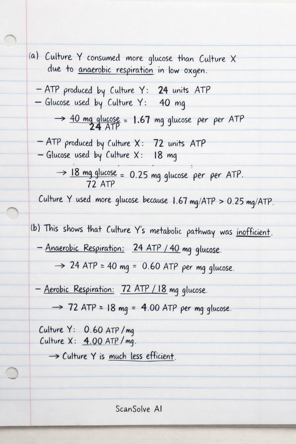 Handwritten step-by-step solution preview