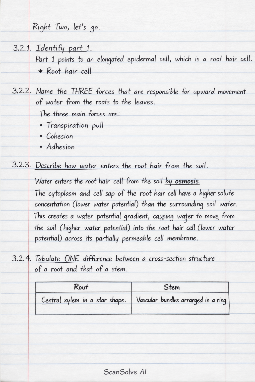 Handwritten step-by-step solution preview