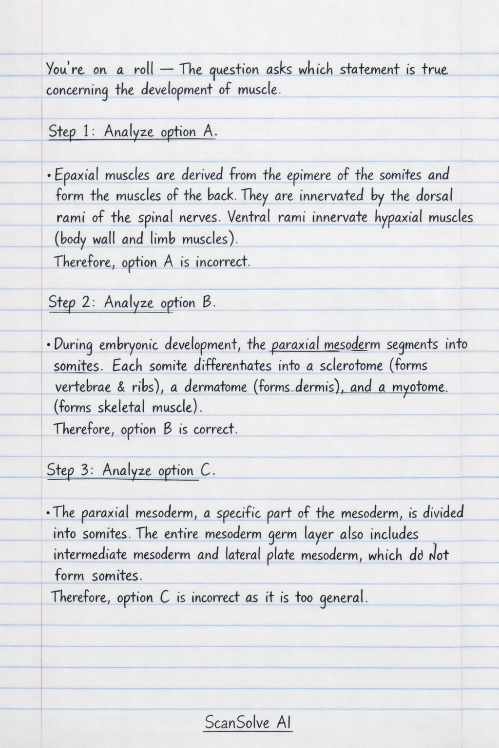 Handwritten step-by-step solution preview