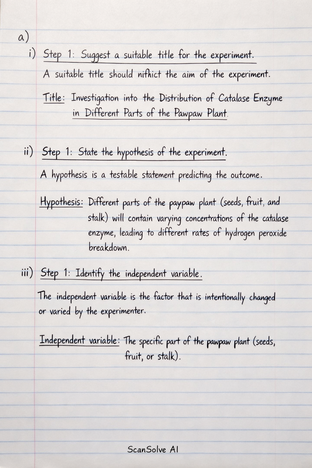 Handwritten step-by-step solution preview