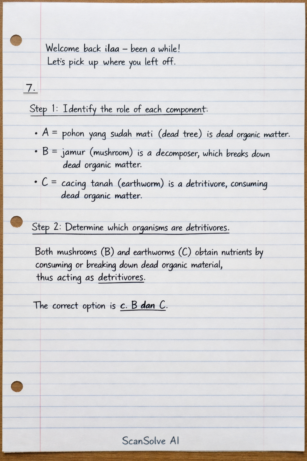 Handwritten step-by-step solution preview