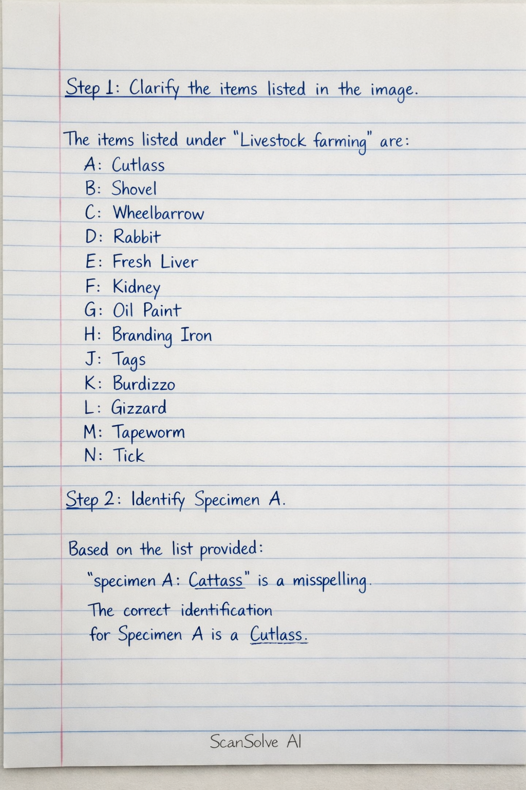 Handwritten step-by-step solution preview