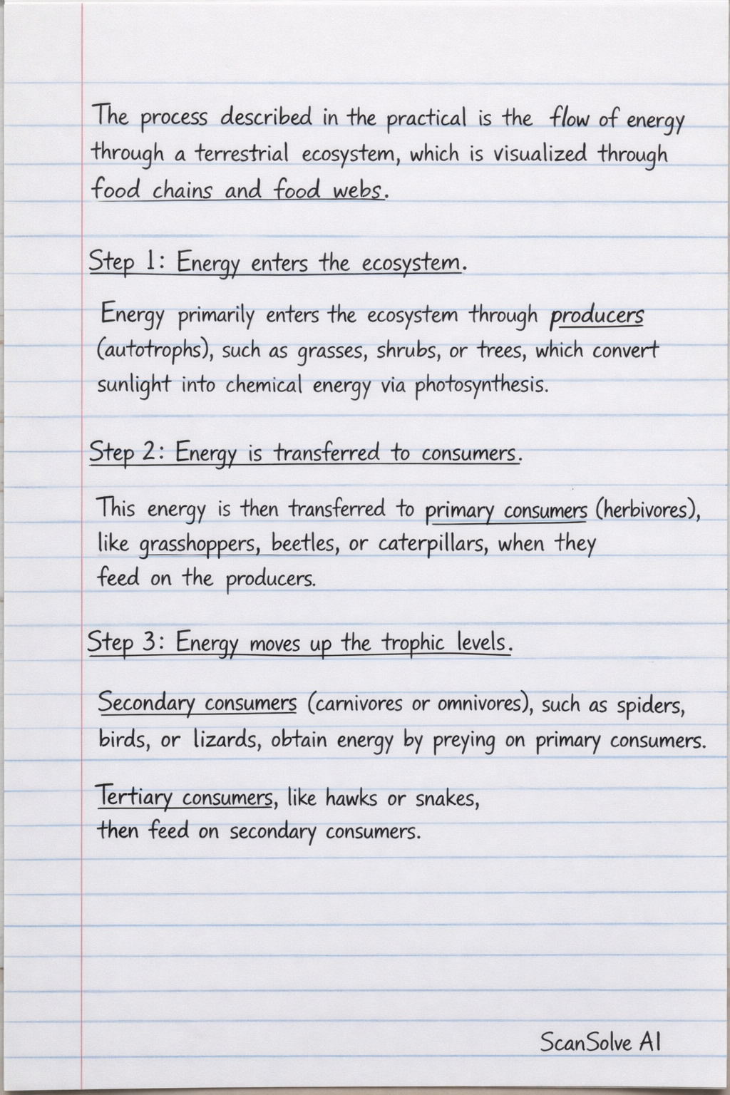 Handwritten step-by-step solution preview