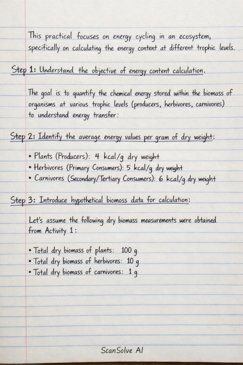 Handwritten step-by-step solution preview