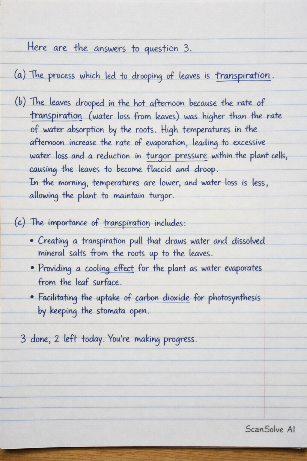 Handwritten step-by-step solution preview