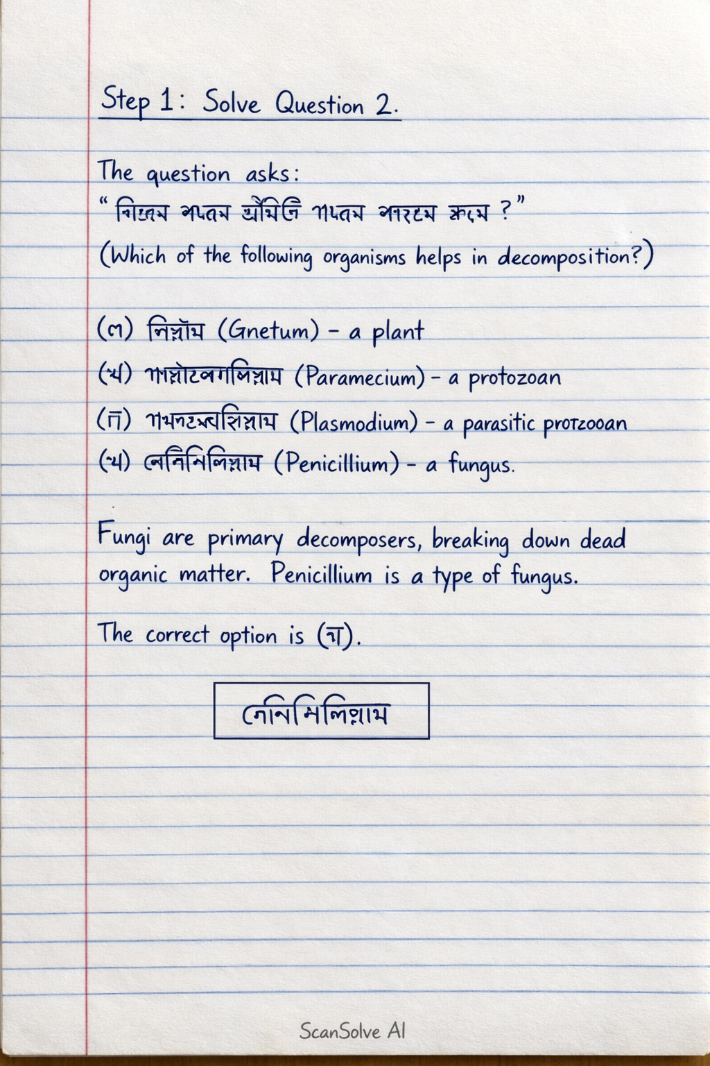 Handwritten step-by-step solution preview