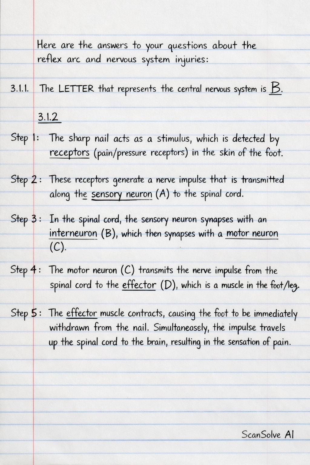Handwritten step-by-step solution preview
