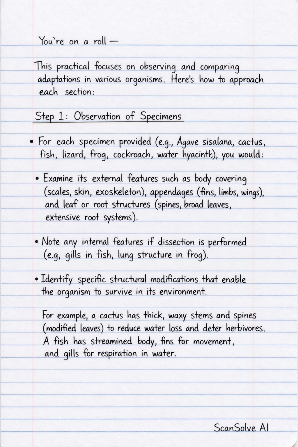 Handwritten step-by-step solution preview