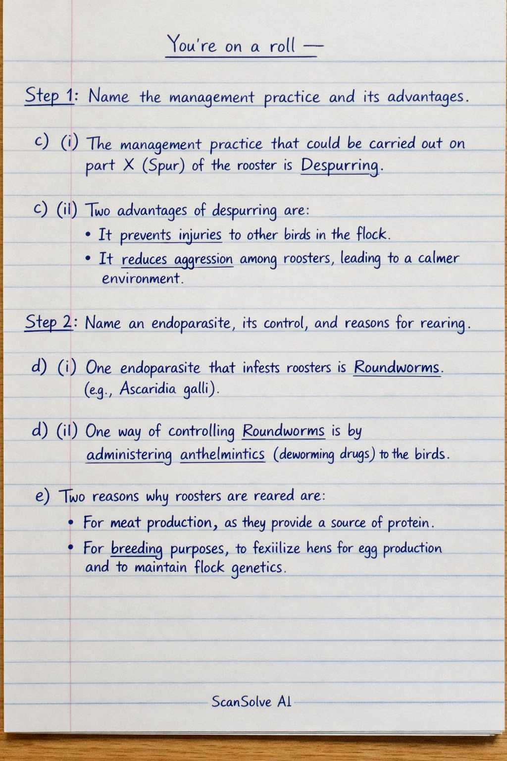 Handwritten step-by-step solution preview