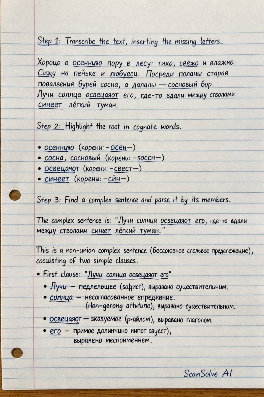 Handwritten step-by-step solution preview