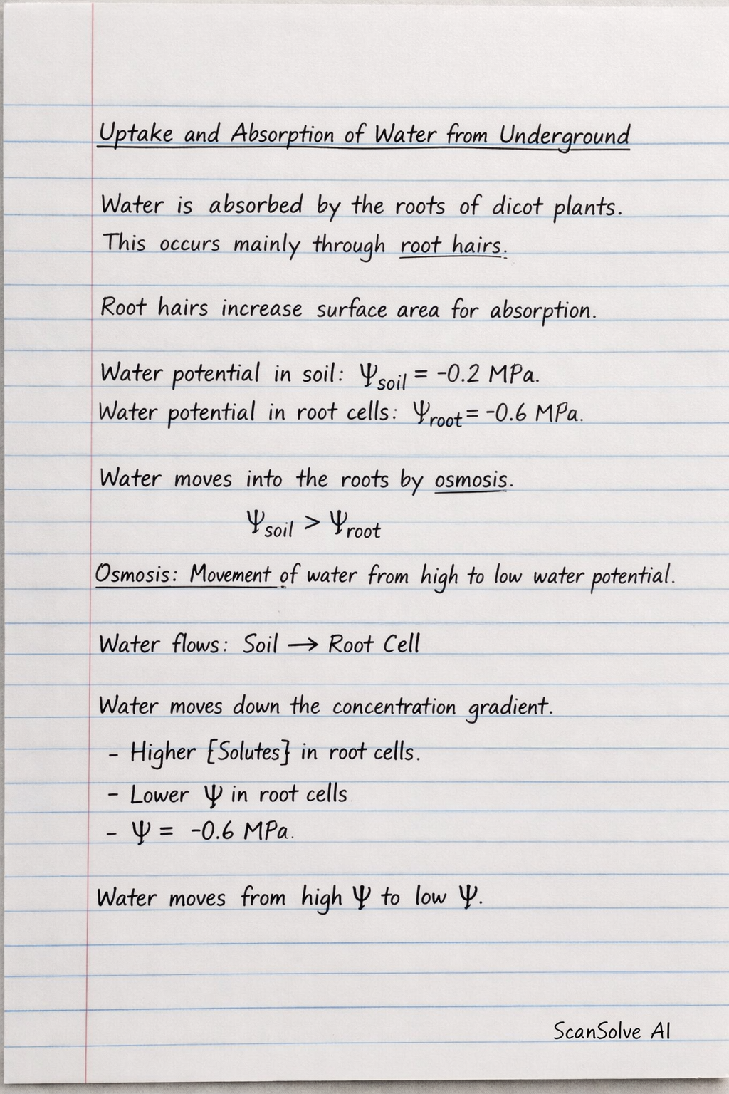Handwritten step-by-step solution preview