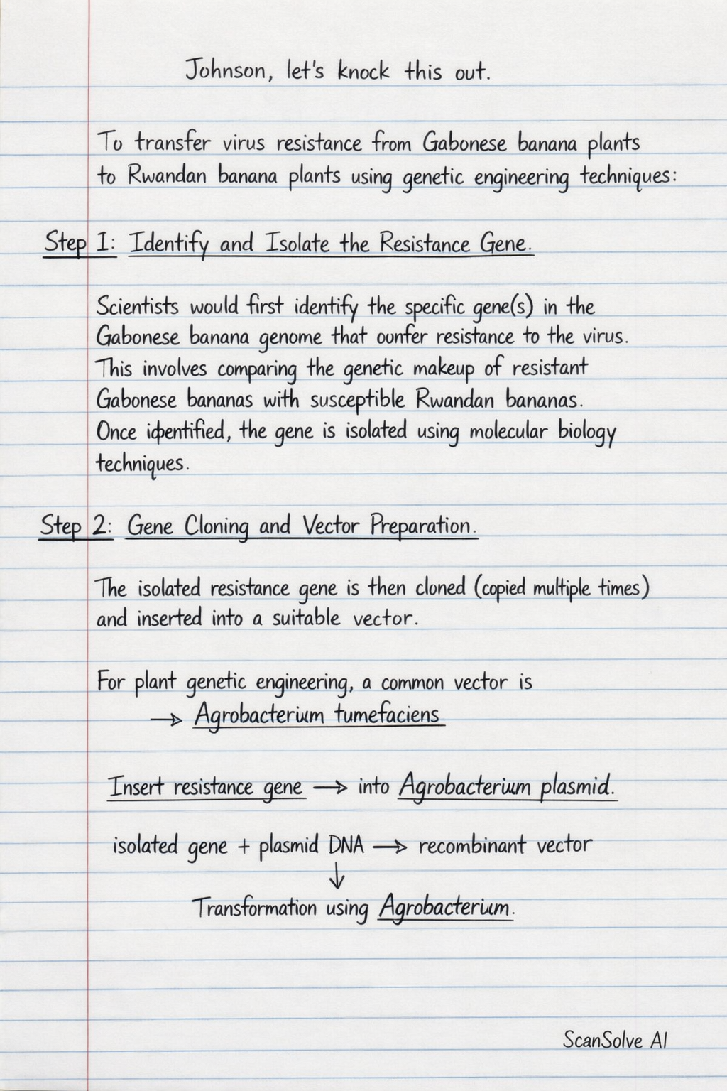 Handwritten step-by-step solution preview