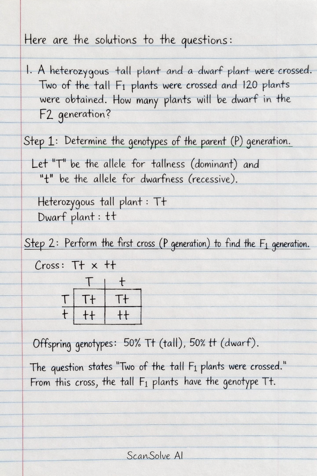 Handwritten step-by-step solution preview