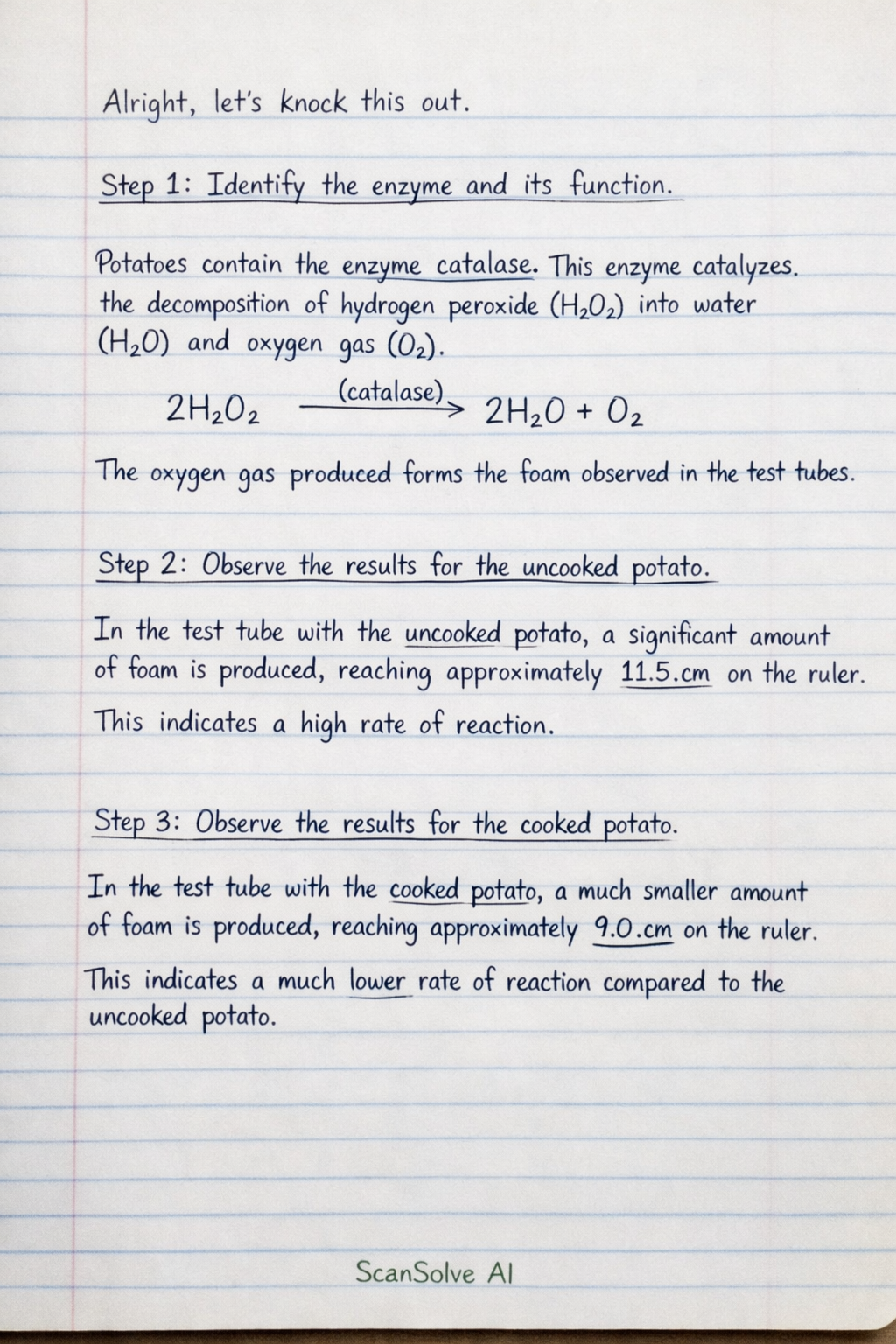 Handwritten step-by-step solution preview