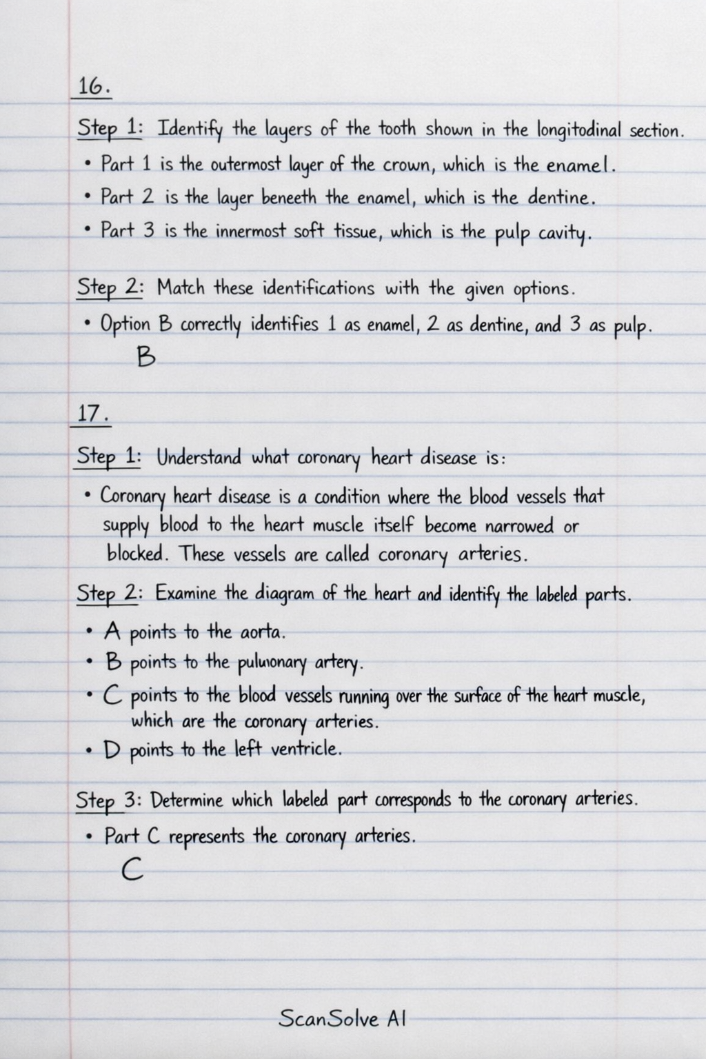 Handwritten step-by-step solution preview