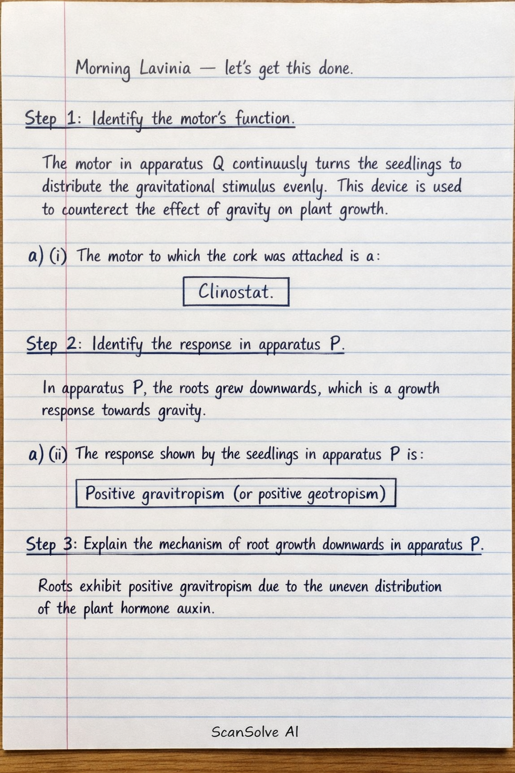 Handwritten step-by-step solution preview