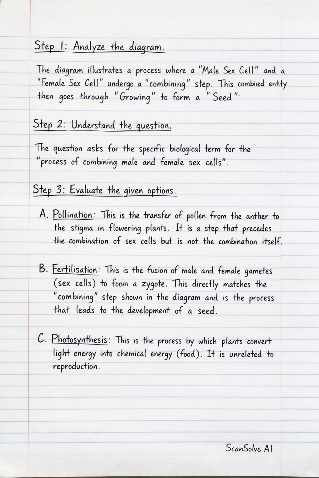Handwritten step-by-step solution preview
