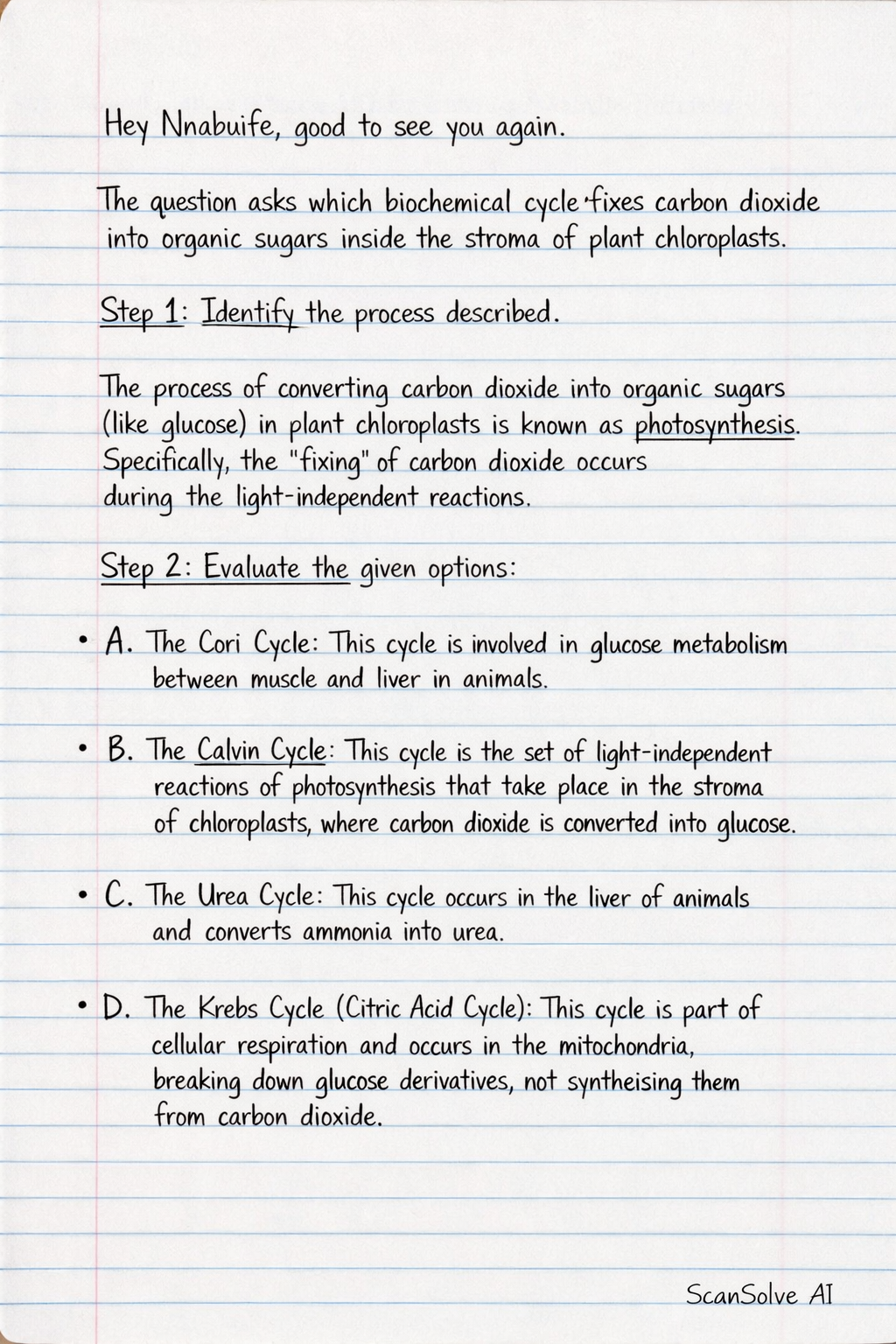 Handwritten step-by-step solution preview
