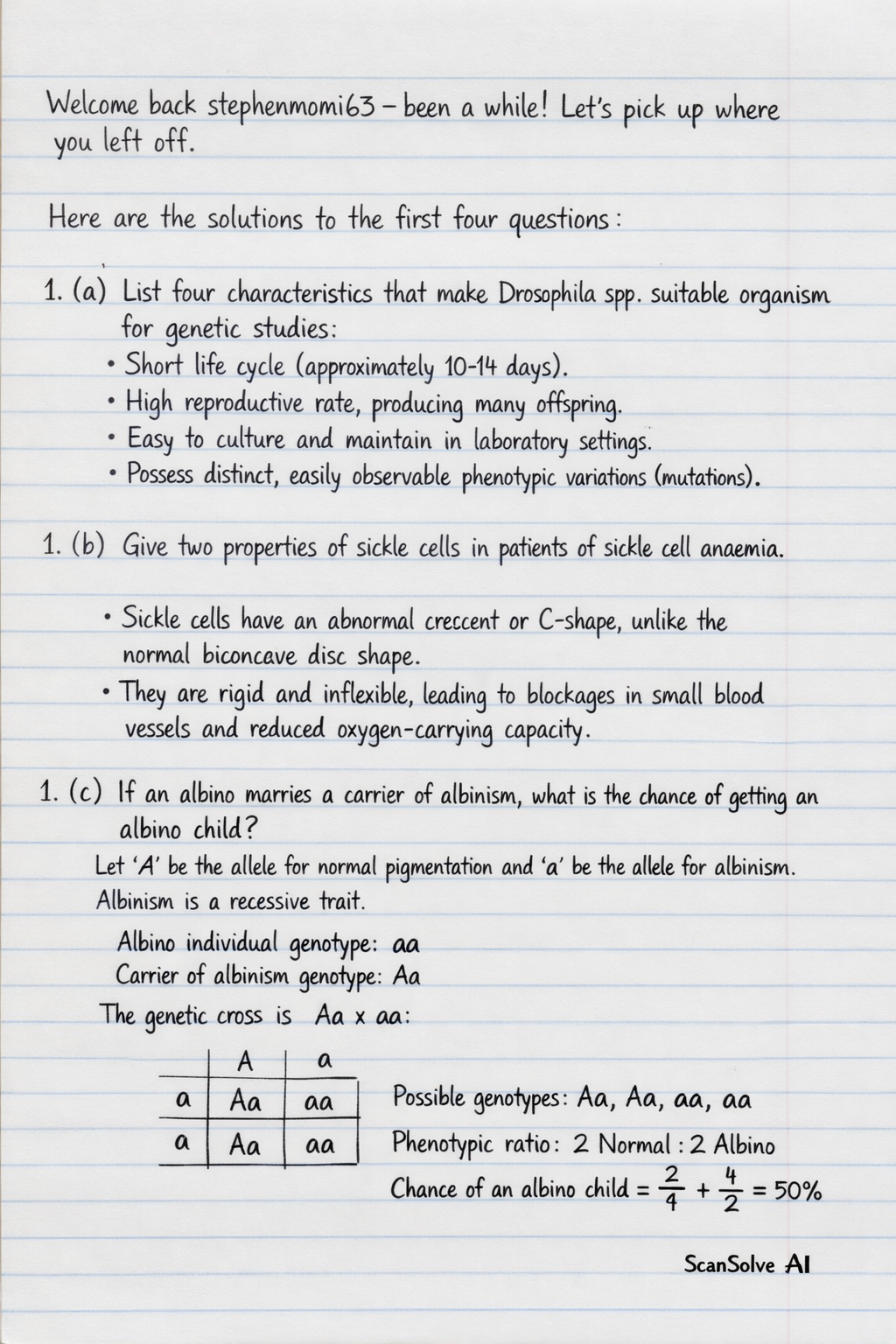 Handwritten step-by-step solution preview