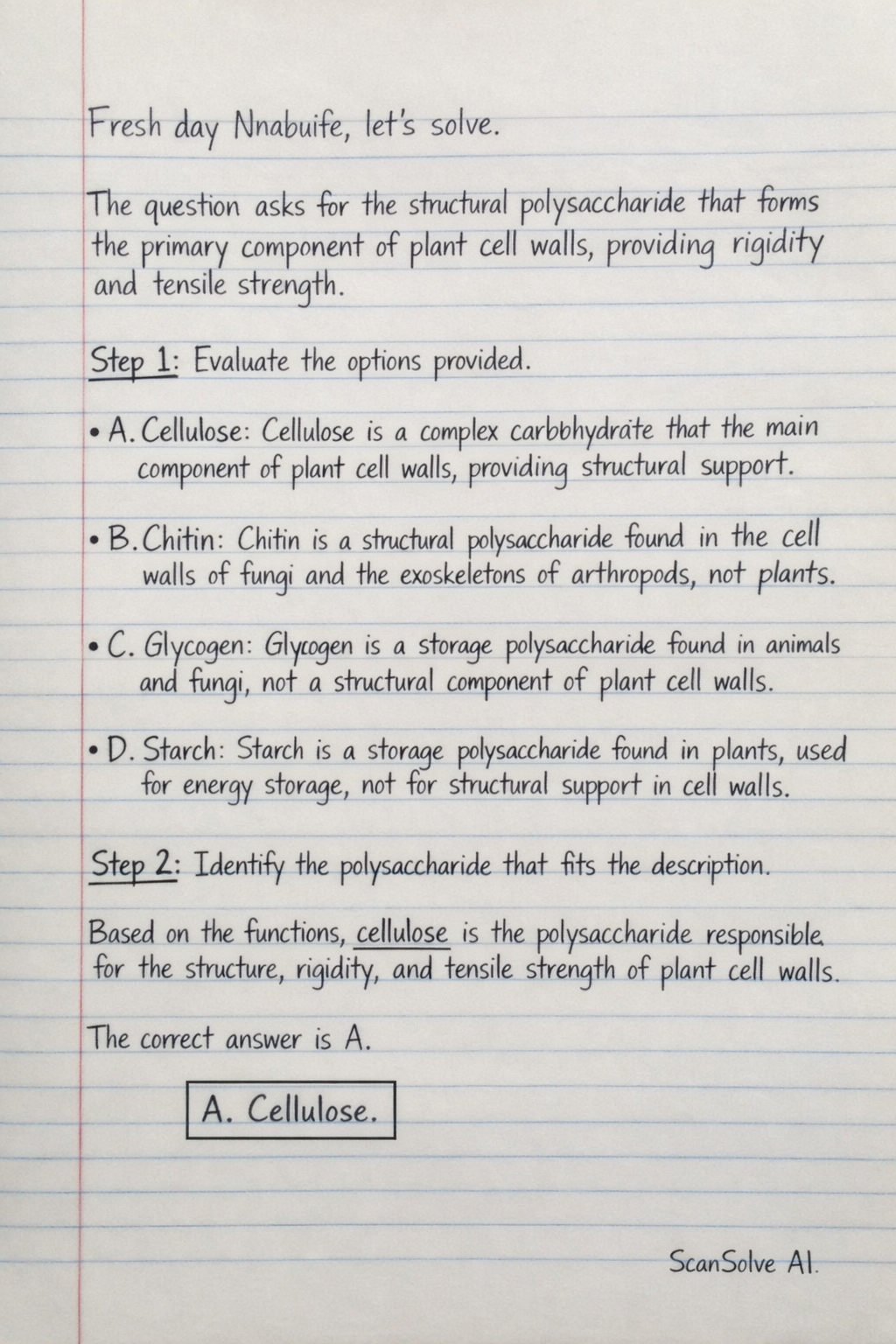 Handwritten step-by-step solution preview