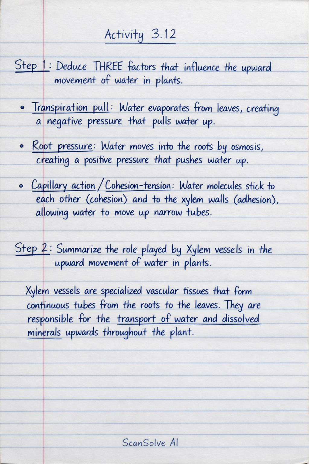 Handwritten step-by-step solution preview